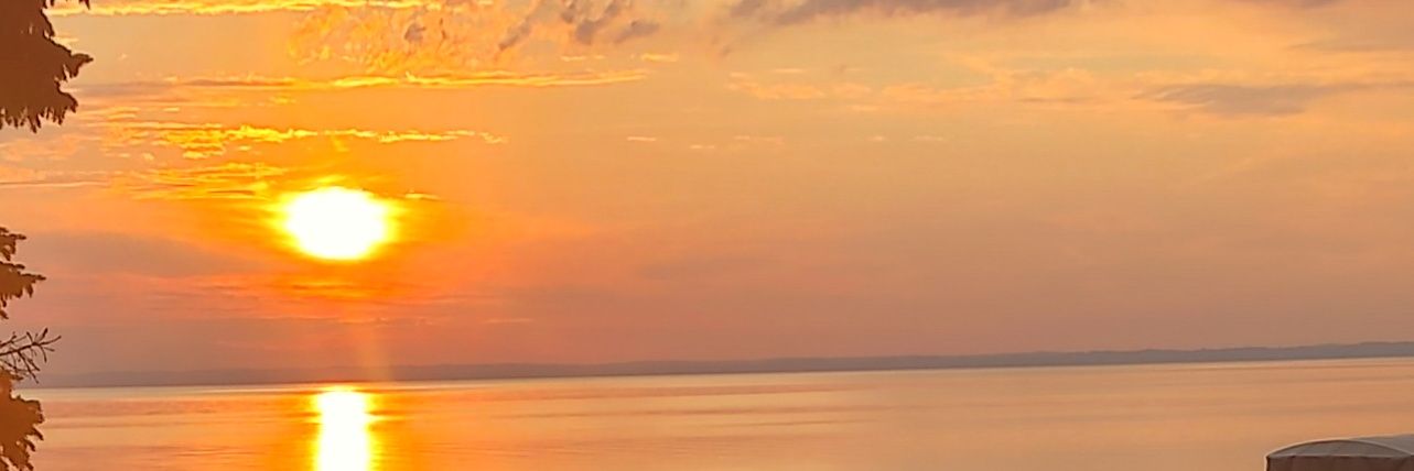 Freeheel2's profile banner image