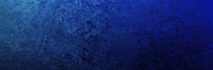 CS_Panthers_BB's profile banner image