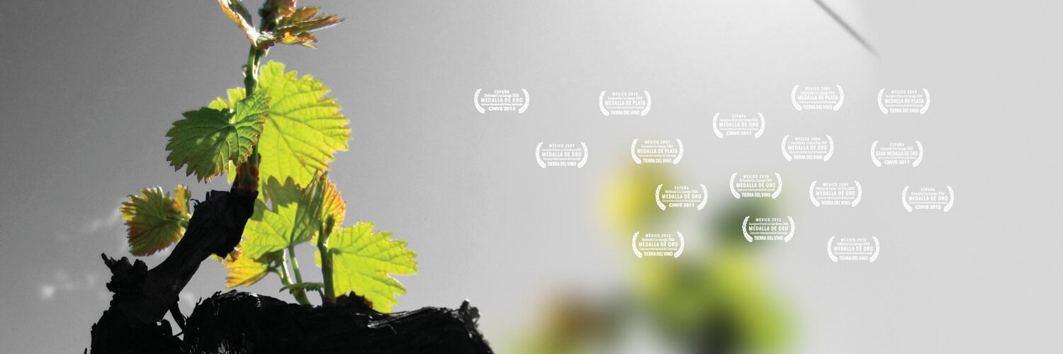 torresalegre's profile banner image