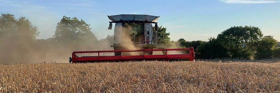 Max Potterton banner