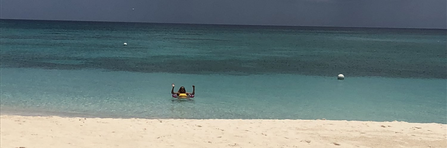 SandraZabDavis's profile banner image