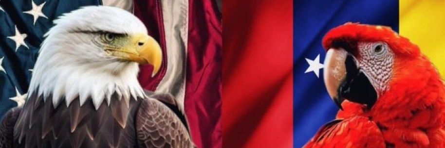 Osfluq2's profile banner image