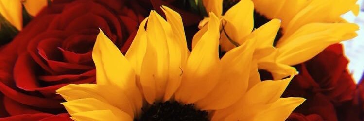 Its_marrassaaa's profile banner image