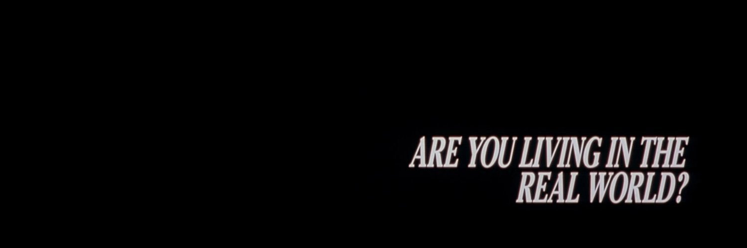 pengu(VERY REAL ACTUALLY) banner