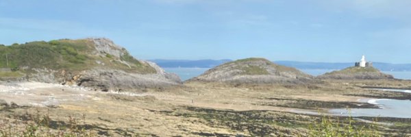 EricaowenErica Profile Banner