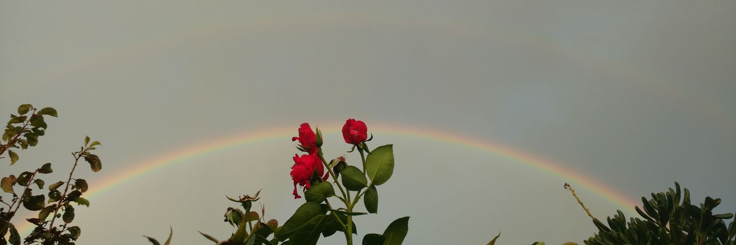 GalvanMara's profile banner image