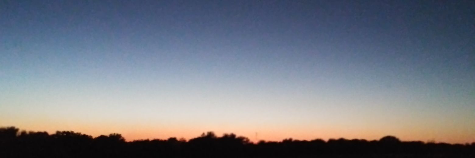 mickeybeck689's profile banner image