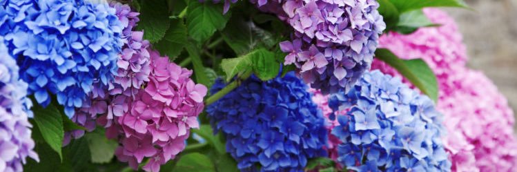 MrsMegC's profile banner image