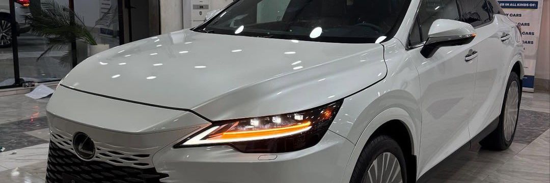 DADEEWMAX banner