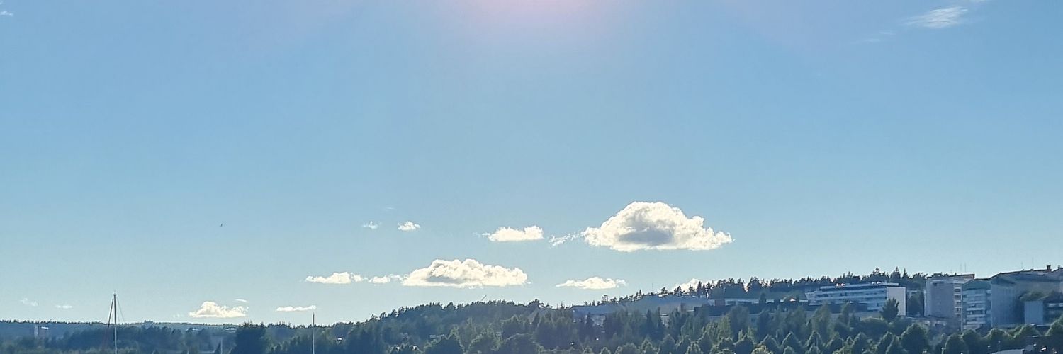 susalminen's profile banner image