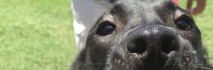 N3phi11im's profile banner image