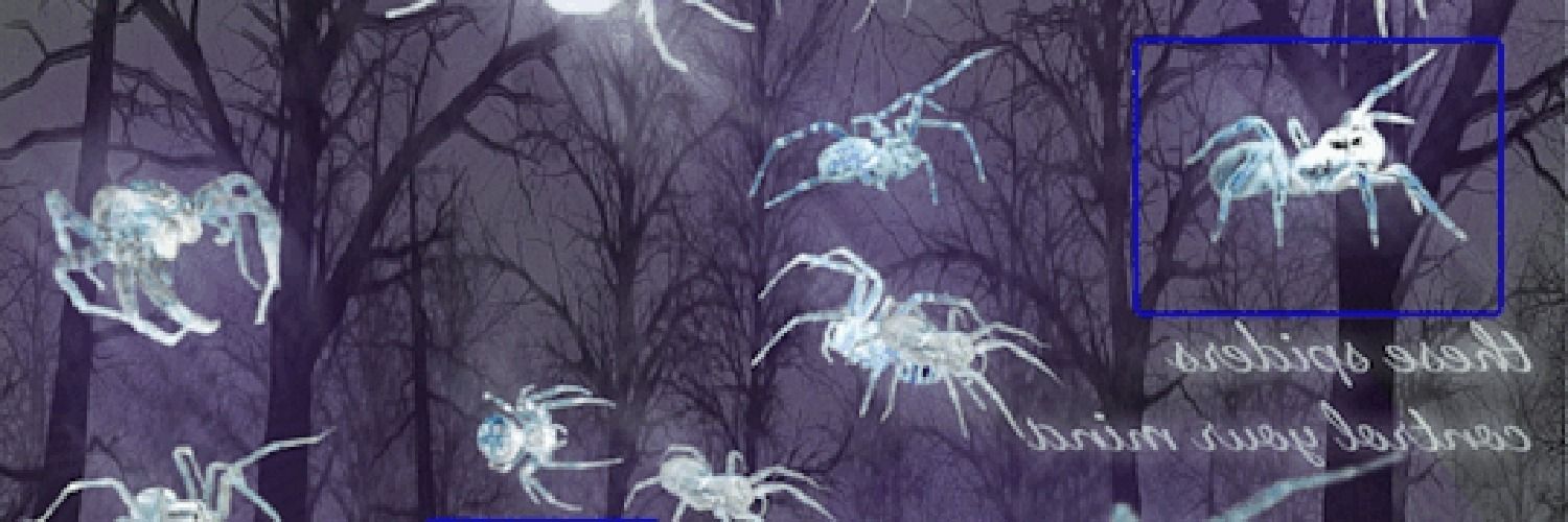 sealulater's profile banner image