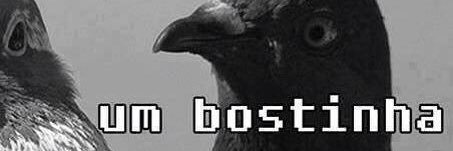 bibicapp's profile banner image