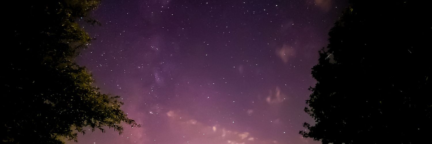 auddiebug's profile banner image