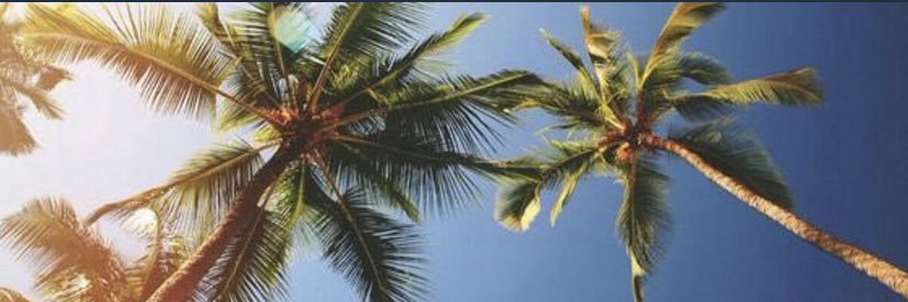 deeyl0's profile banner image