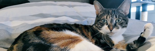 A1 Profile Banner