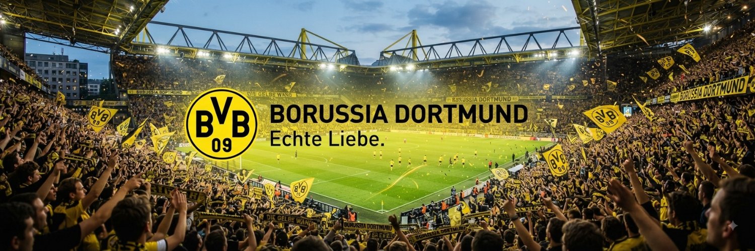 dortmund_bees's profile banner image