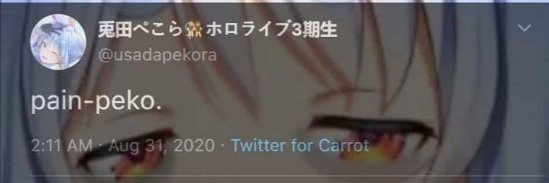 Shrimp__44's profile banner image
