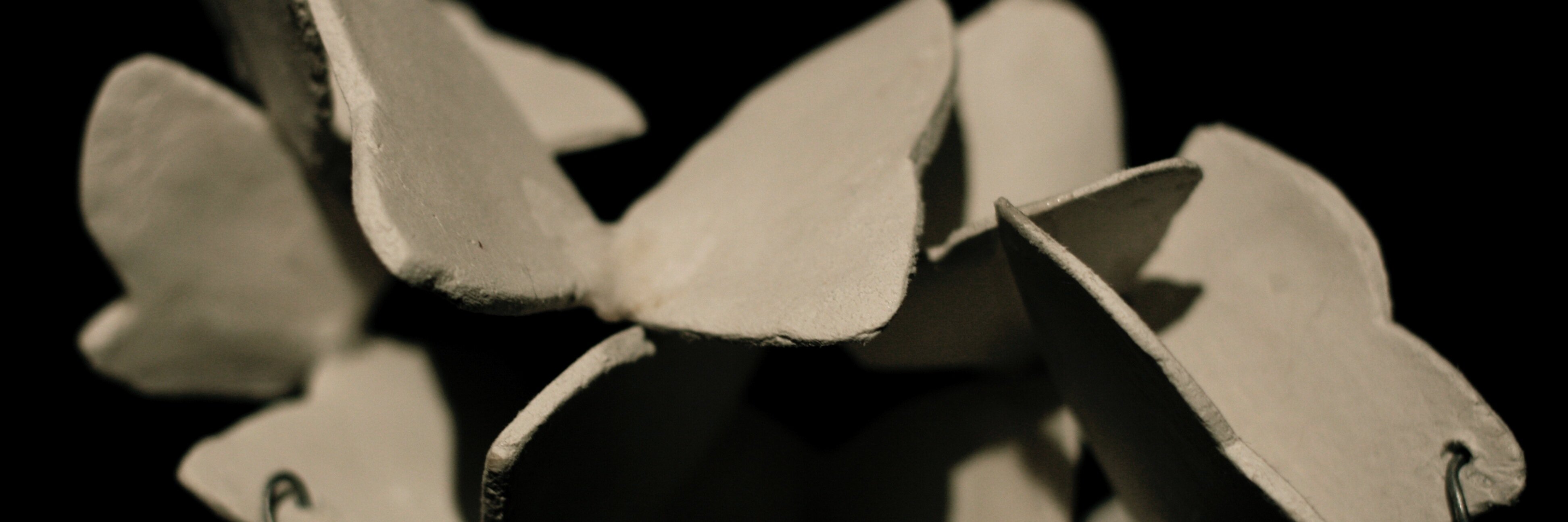 Ellen Reay banner