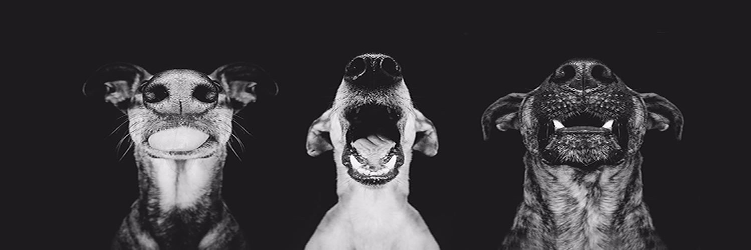 ClaPiers's profile banner image