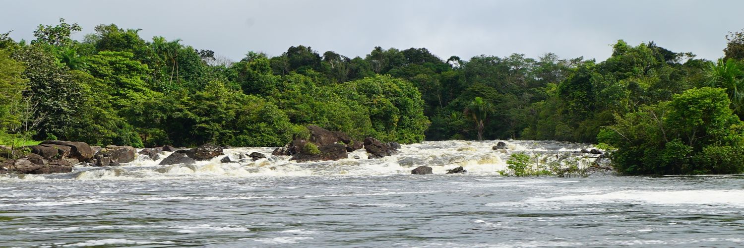 Sebastián Patiño Rueda banner