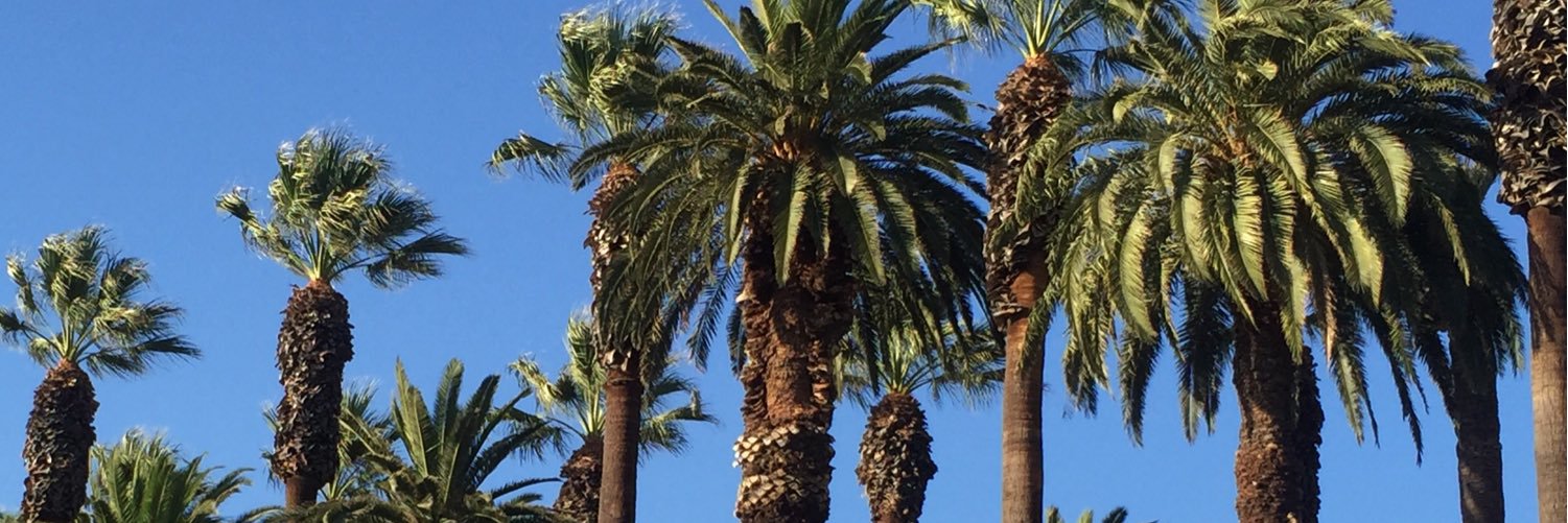 Christine Harrison banner