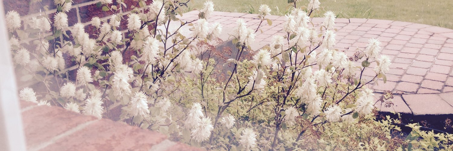 soniaacast's profile banner image