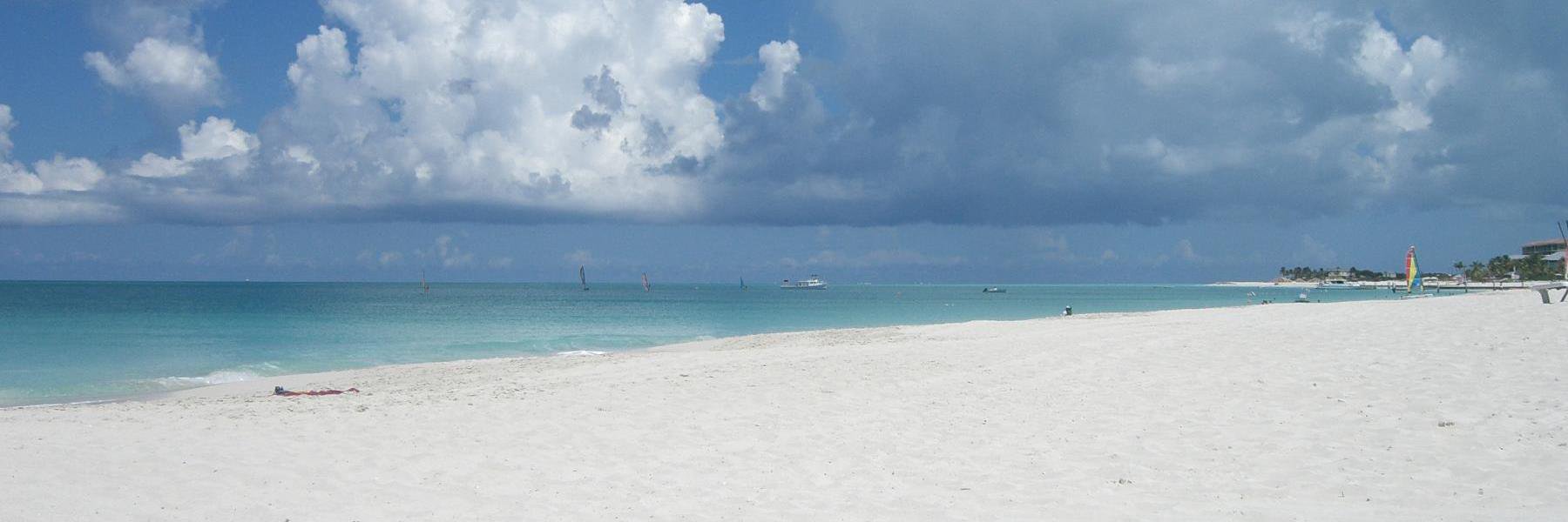 SelseyBob's profile banner image