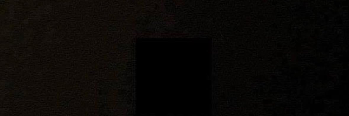 🎵 Mark Smotroff 🎶 banner