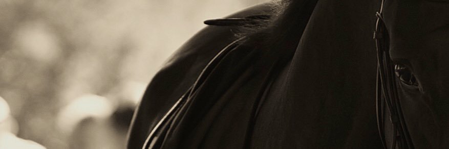 ErringtonLewis's profile banner image