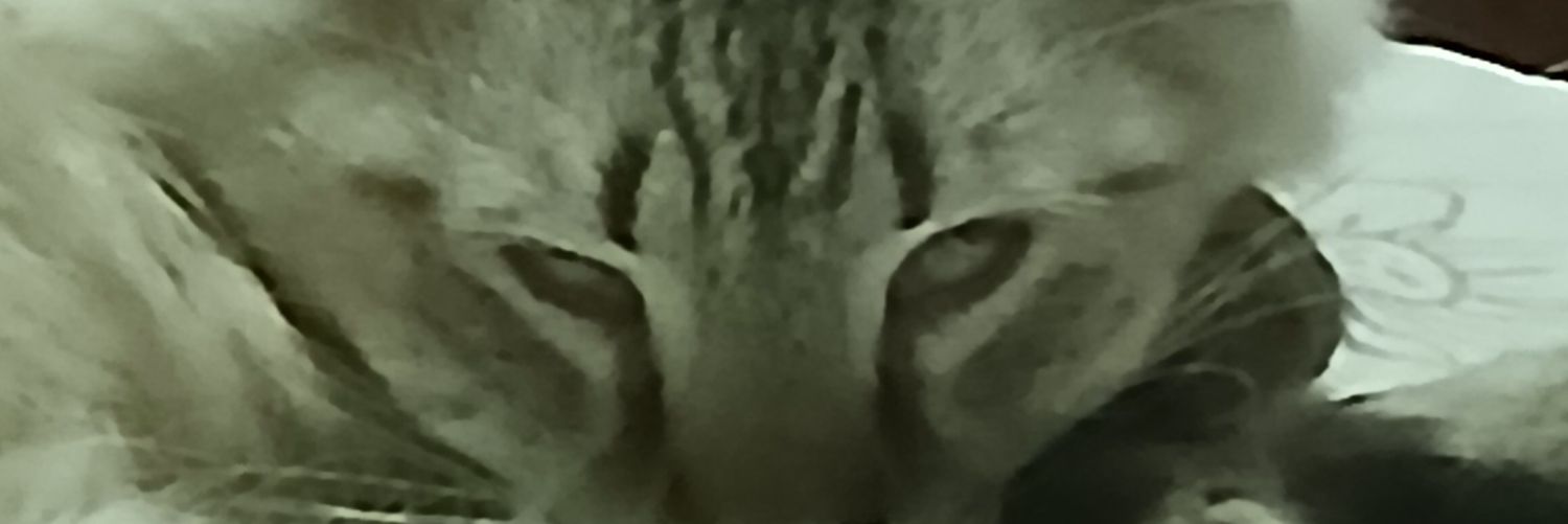 helecamimay's profile banner image