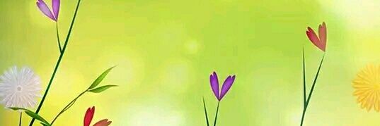mandy567890's profile banner image