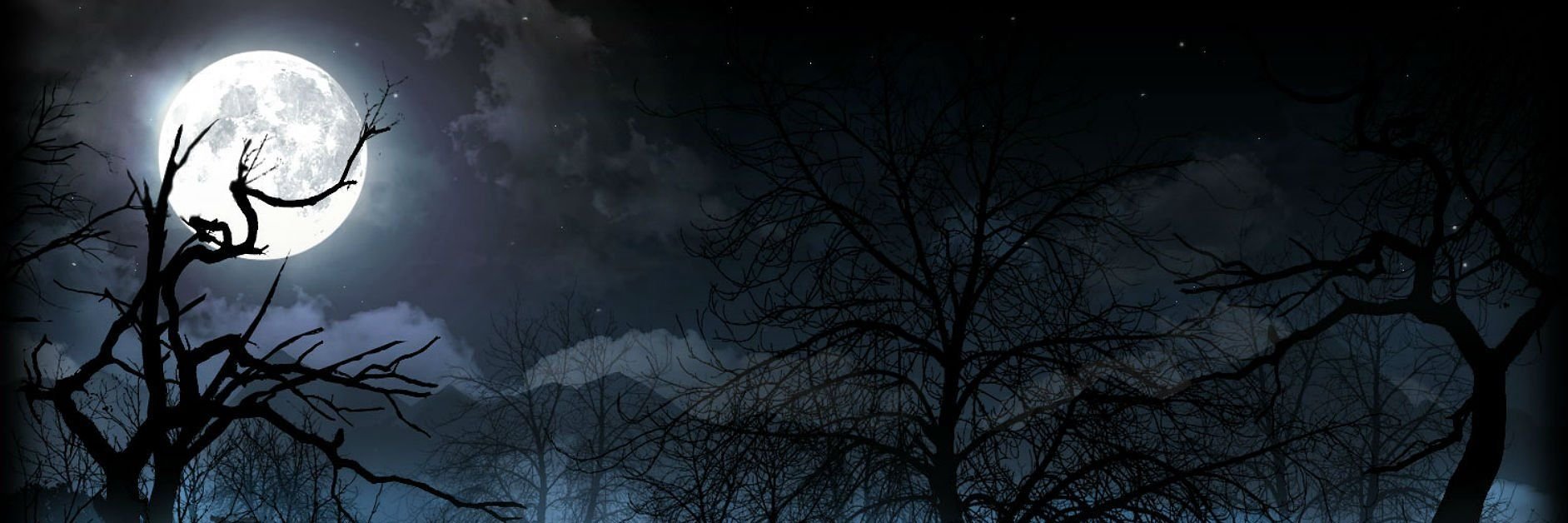 Tssaritsa's profile banner image