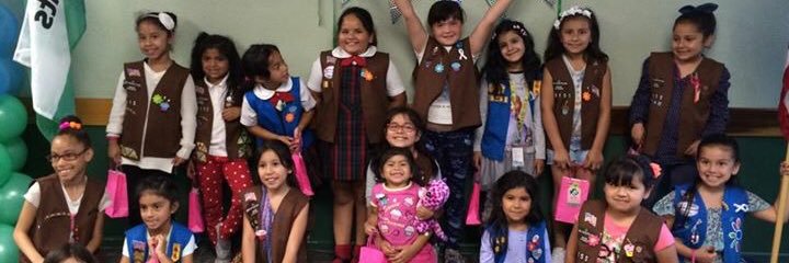DTLA GS Troop 16155 banner