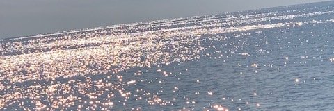 sfnl6364's profile banner image