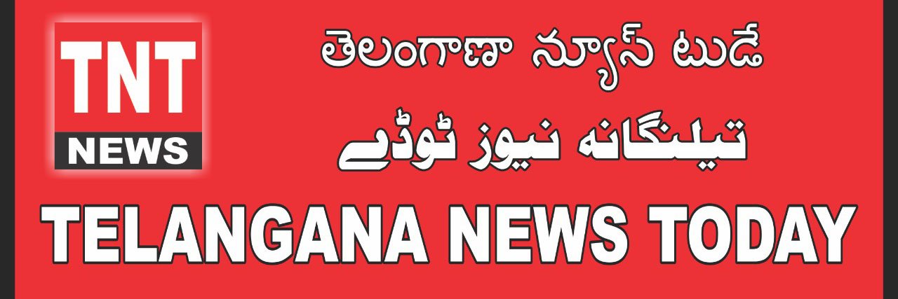 TNTNEWS3's profile banner image