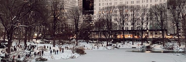 Annikssa's profile banner image