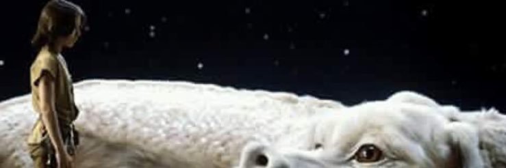 ummbrox's profile banner image