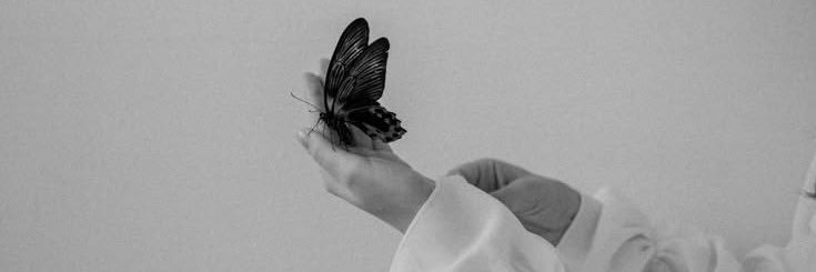 ᴶᴼᴸʸ banner
