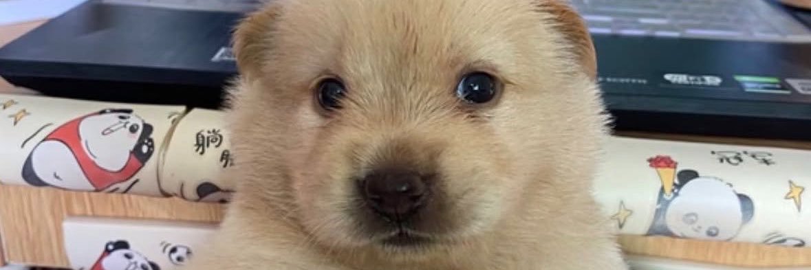 sticksnail's profile banner image
