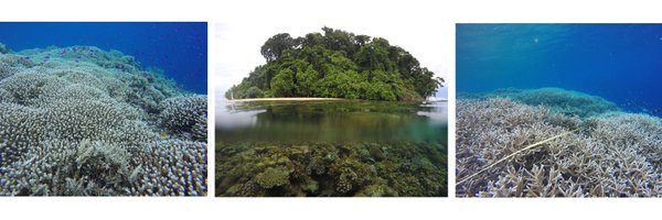 PeterCDoll Profile Banner