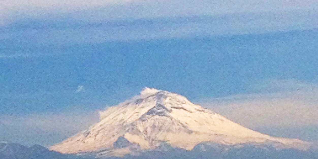 Ana Vega Dominguez banner