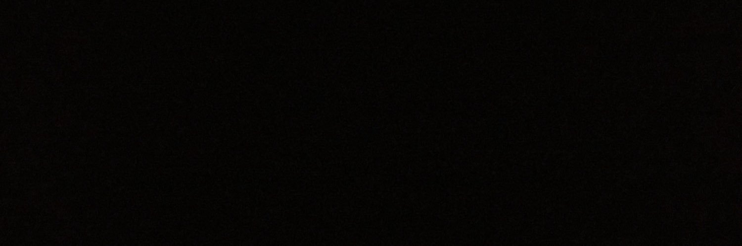 pokrytkova's profile banner image