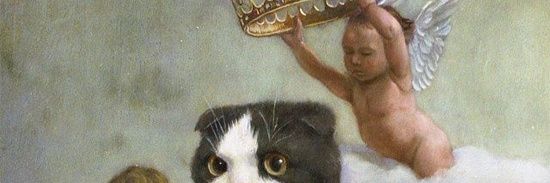 cluegoth's profile banner image
