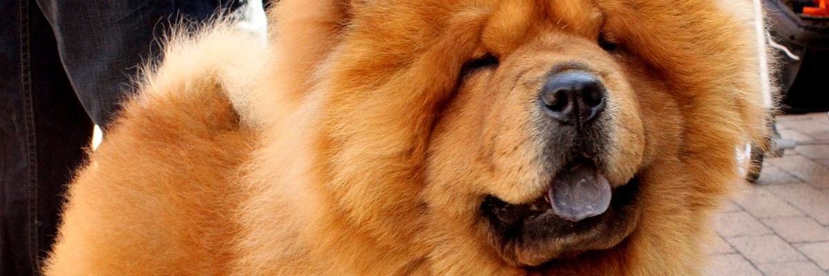 Ban2lero_PR's profile banner image