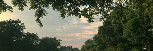 primochen1 Profile Banner