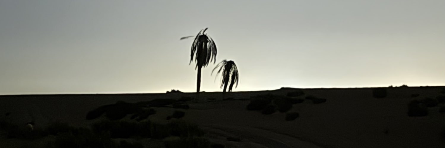 sh__A70's profile banner image
