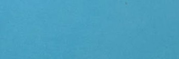 SavannahKayT Profile Banner