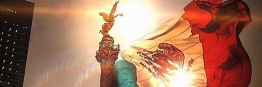 RogerEdison banner