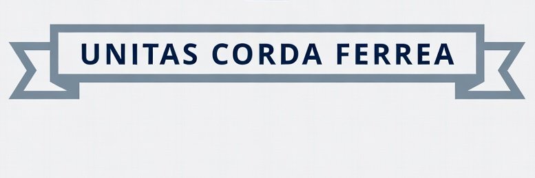 Valdek Ryś banner
